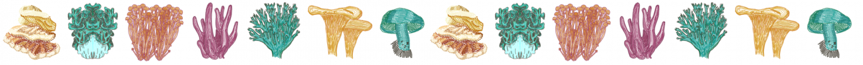 shroom-strip-extralong.png