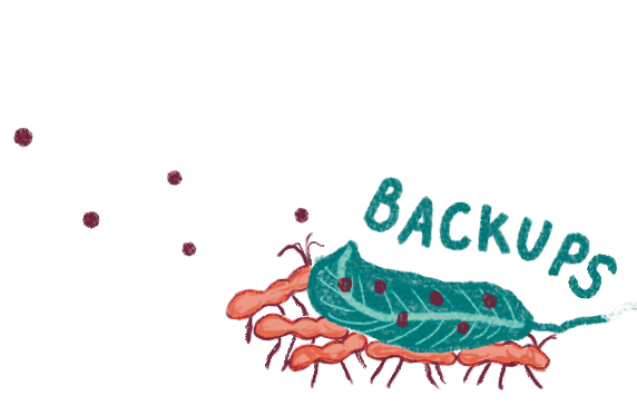 backups.png