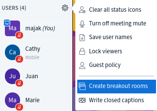 bbb-breakout-rooms.png