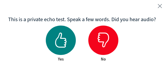 bbb-echo-test.png